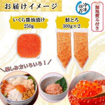 【無地熨斗付き】いくら醤油漬け250g&鮭とろ300g×2個 計3個 セット 北海道 倶知安町