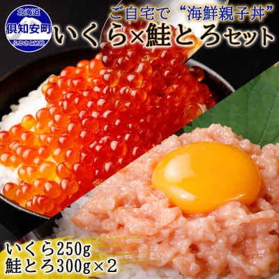 北海道産 いくら醤油漬け250g&鮭とろ300g×2個 計3個 セット 北海道 倶知安町