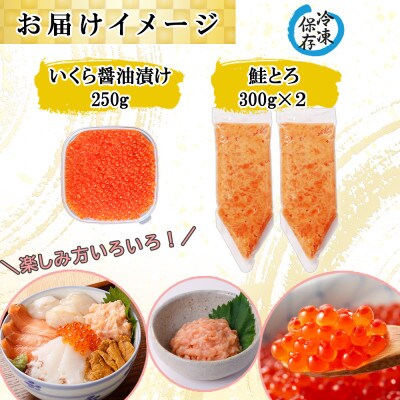 北海道産 いくら醤油漬け250g&鮭とろ300g×2個 計3個 セット 北海道 倶知安町