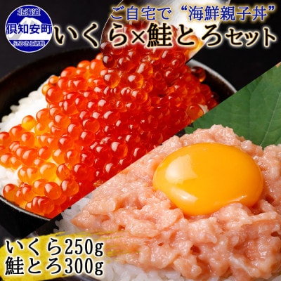 北海道産 いくら醤油漬け 250g&鮭とろ 300g 海鮮親子丼 セット 北海道 倶知安町
