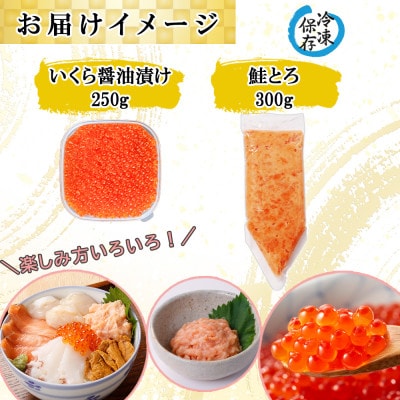 北海道産 いくら醤油漬け 250g&鮭とろ 300g 海鮮親子丼 セット 北海道 倶知安町