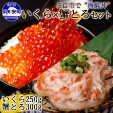 北海道産 いくら醤油漬け 250g&amp; 蟹とろ 300g セット 北海道 倶知安町