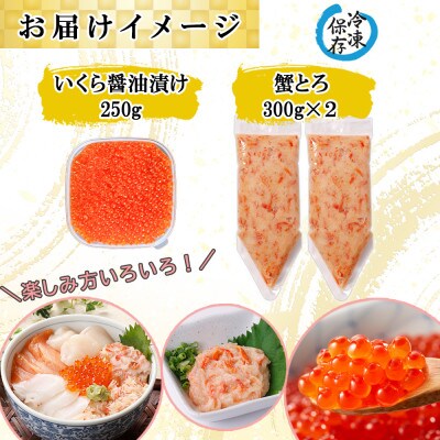 北海道産 いくら醤油漬け250g&蟹とろ300g×2個 計3個 セット 北海道 倶知安町