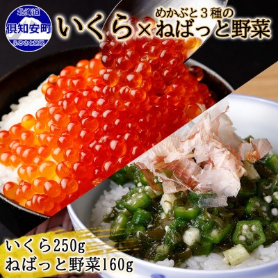 北海道産 いくら醤油漬け 250g& ねばっと野菜 160g セット 北海道 倶知安町