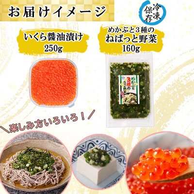 北海道産 いくら醤油漬け 250g& ねばっと野菜 160g セット 北海道 倶知安町