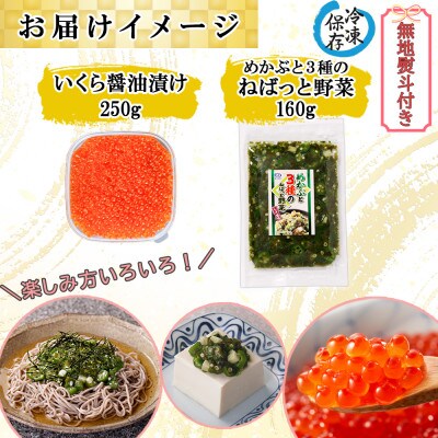 【無地熨斗付き】いくら醤油漬け 250g& ねばっと野菜 160g セット 北海道 倶知安町