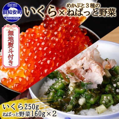 【無地熨斗付き】いくら醤油漬け 250g &ねばっと野菜 160g×2個 計3個セット