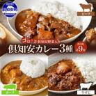 倶知安野菜のカレー食べ比べ3種セット ビーフ・ポーク・牛すじ 中辛 計9個