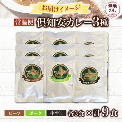 【無地熨斗付き】倶知安野菜のカレー食べ比べ3種セット ビーフ・ポーク・牛すじ 中辛計9個