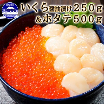 いくら醤油漬け250g&ホタテ貝柱500g 海鮮2種セット 北海道 倶知安町