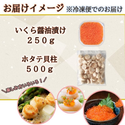いくら醤油漬け250g&ホタテ貝柱500g 海鮮2種セット 北海道 倶知安町