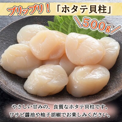 北海道産 いくら醤油漬け 100g×2 ホタテ 500g セット 北海道 倶知安町