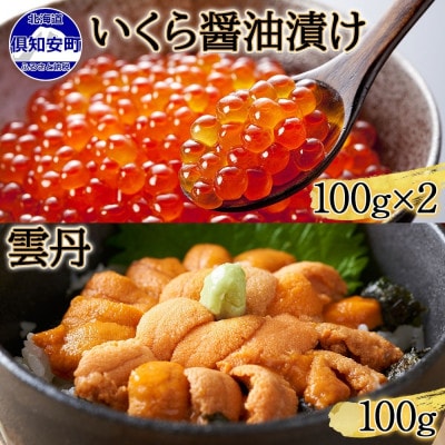 北海道産 いくら醤油漬け 100g×2 雲丹 100g セット 北海道 倶知安町
