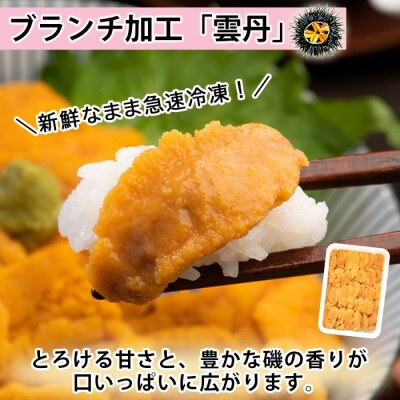 北海道産 いくら醤油漬け 100g×2 雲丹 100g セット 北海道 倶知安町
