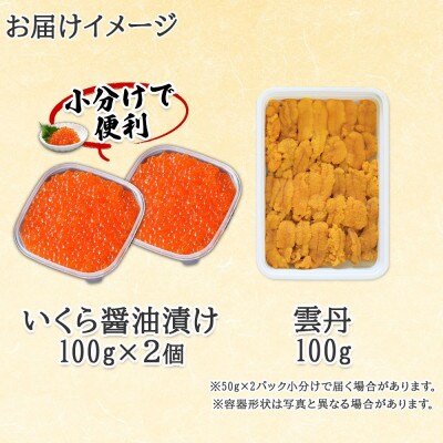 北海道産 いくら醤油漬け 100g×2 雲丹 100g セット 北海道 倶知安町