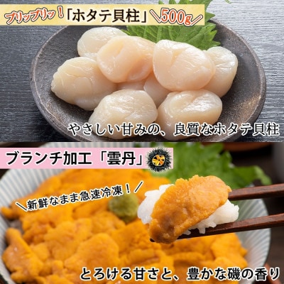北海道産 いくら醤油漬け 海鮮セット 雲丹 ホタテ 北海道 倶知安町