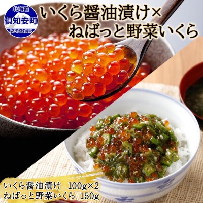 北海道産 いくら醤油漬け 100g×2 ねばっと野菜いくら 150g 北海道 倶知安町