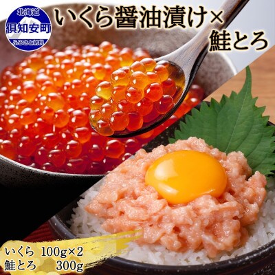 北海道産 いくら醤油漬け 100g×2 鮭とろ 300g 北海道 倶知安町