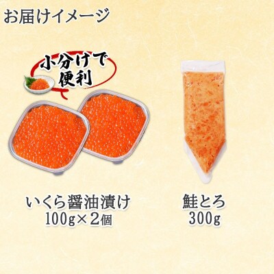 北海道産 いくら醤油漬け 100g×2 鮭とろ 300g 北海道 倶知安町