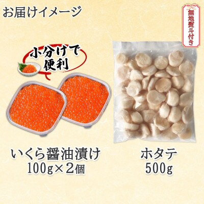 【無地熨斗付き】北海道産 いくら醤油漬け 100g×2 ホタテ 500g 北海道 倶知安町