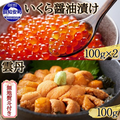 【無地熨斗付き】北海道産 いくら醤油漬け 100g×2 雲丹 100g セット