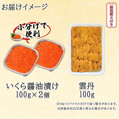 【無地熨斗付き】北海道産 いくら醤油漬け 100g×2 雲丹 100g セット