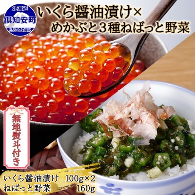 【無地熨斗付き】北海道産 いくら醤油漬け ねばっと野菜 3種 北海道 倶知安町
