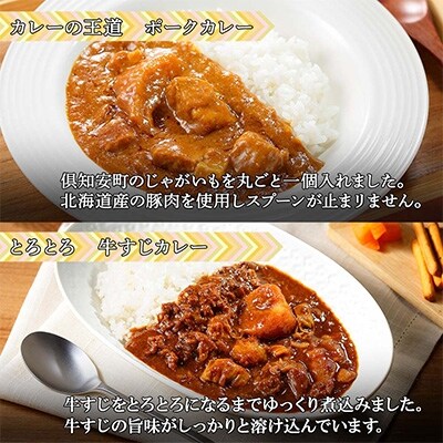 2023年4月発送開始『定期便』中辛カレー4種計8個(チキンスープ・ビーフ・ポーク・牛すじ)全2回