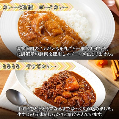 2023年11月発送開始『定期便』倶知安野菜のカレー食べ比べ4種セット 中辛 200g×計4個全3回