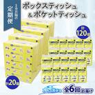 【2ヵ月毎定期便】とけまるくん ボックスティッシュ 20箱 ポケットティッシュ 120個 全6回