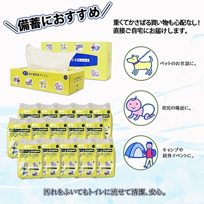 【毎月定期便】とけまるくん ボックスティッシュ 20箱 ポケットティッシュ 120個 全12回