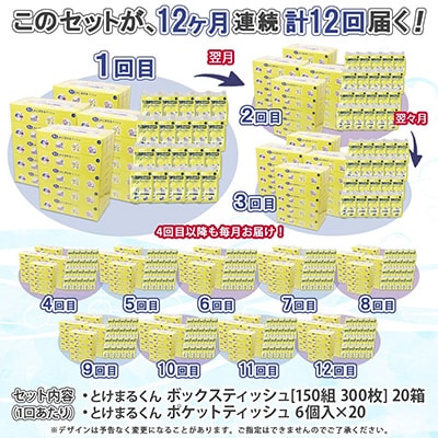 【毎月定期便】とけまるくん ボックスティッシュ 20箱 ポケットティッシュ 120個 全12回