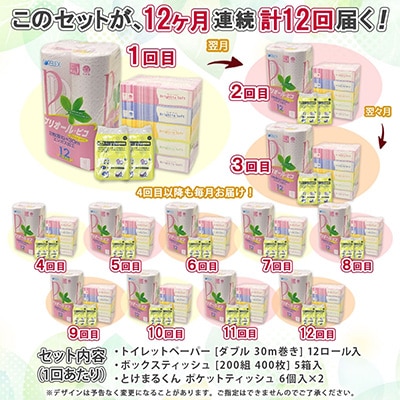 【毎月定期便】トイレットペーパー12ロール ティッシュペーパー5箱 ポケットティッシュ12個全12回