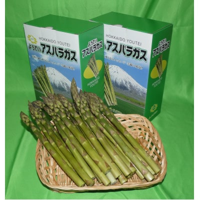 北海道羊蹄山麓　JAようていグリーンアスパラ　800g(2026年春より順次発送!)