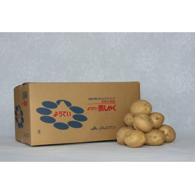 北海道羊蹄山麓　JAようていジャガイモ食べ比べ計20kgセット(2026年1月上旬より順次出荷予定)