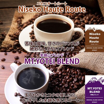 自家焙煎 コーヒー豆1種 ドリップコーヒー 2種 セット 約20杯 SPROUT N10/CB5