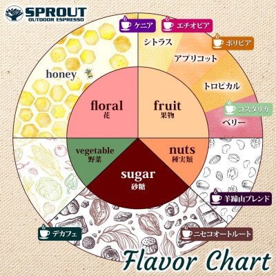 自家焙煎 コーヒー豆1種 ドリップコーヒー 2種 セット 約20杯 SPROUT N10/CB5