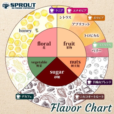 【毎月定期便】自家焙煎 コーヒー豆 4.5kg 計54.0kg SPROUT 北海道全12回