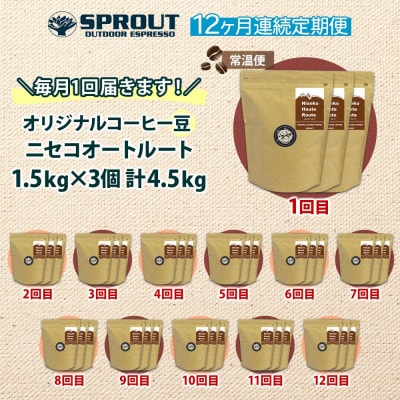【毎月定期便】自家焙煎 コーヒー豆 4.5kg 計54.0kg SPROUT 北海道全12回