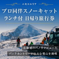 【北海道ツアー】ニセコ オリンピアン同伴 スノーキャットツアーガイド ランチ付き 倶知安町 旅行券