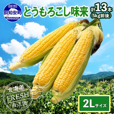 2025年 先行受付 北海道 倶知安 とうもろこし 味来(みらい) 2Lサイズ 5kg前後 産地直送