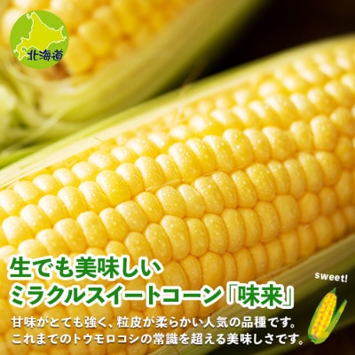 2025年 先行受付 北海道 倶知安 とうもろこし 味来(みらい) 2Lサイズ 5kg前後 産地直送