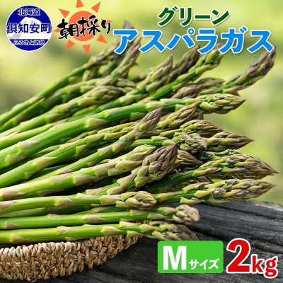 北海道 アスパラガス グリーン(Mサイズ)約2kg 旬 朝採り 新鮮 産地直送 倶知安町