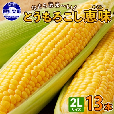 北海道 倶知安町 とうもろこし 恵味 めぐみ 2Lサイズ 5kg 13本前後