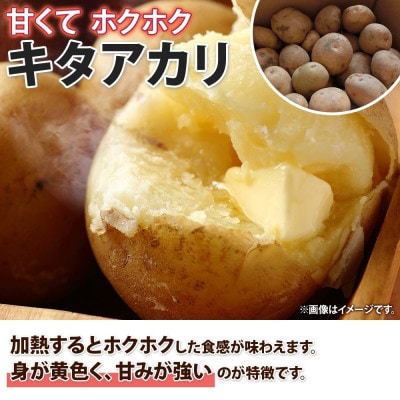 北海道倶知安町産 じゃがいも「キタアカリ」 Lサイズ 10kg 馬鈴薯 産地直送