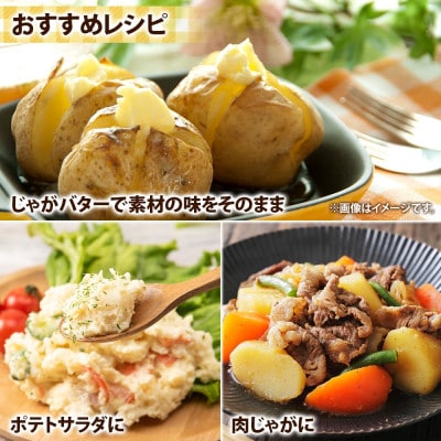 北海道倶知安町産 じゃがいも「きたかむい」Lサイズ 10kg 馬鈴薯 産地直送
