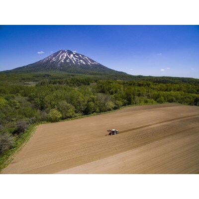 【2023年8月下旬より順次発送】北の大地からの贈り物～オーガニックピュアホワイトコーン