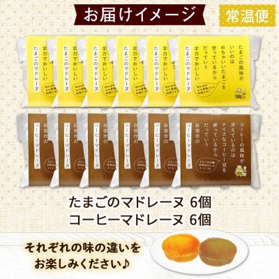 北海道 マドレーヌ 2種セット 計12個 たまごのマドレーヌ コーヒーマドレーヌ 倶知安町