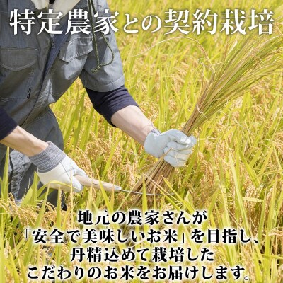 北海道 倶知安町産 ゆめぴりか 精米 5kg 数量限定 【2026年2月出荷】