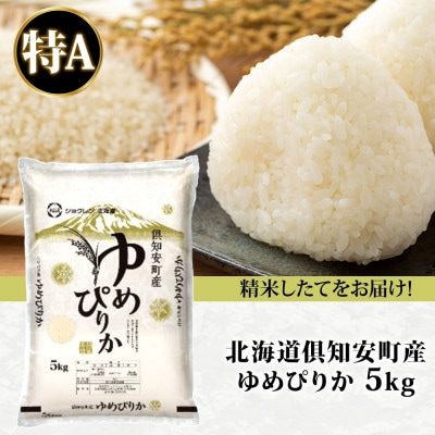 北海道 倶知安町産 ゆめぴりか 精米 5kg 数量限定 【2026年4月出荷】